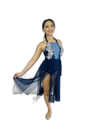 blue mesh skirted leotard