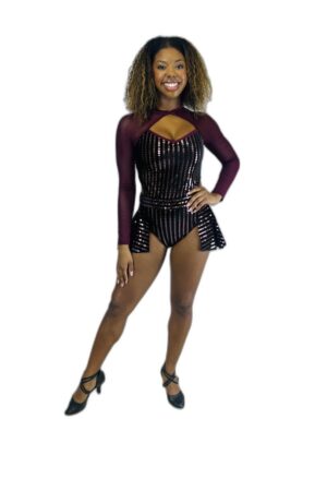 Black and Silver Sequin Striped Leotard with Half-Skirt