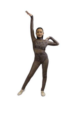 brown sheer unitard